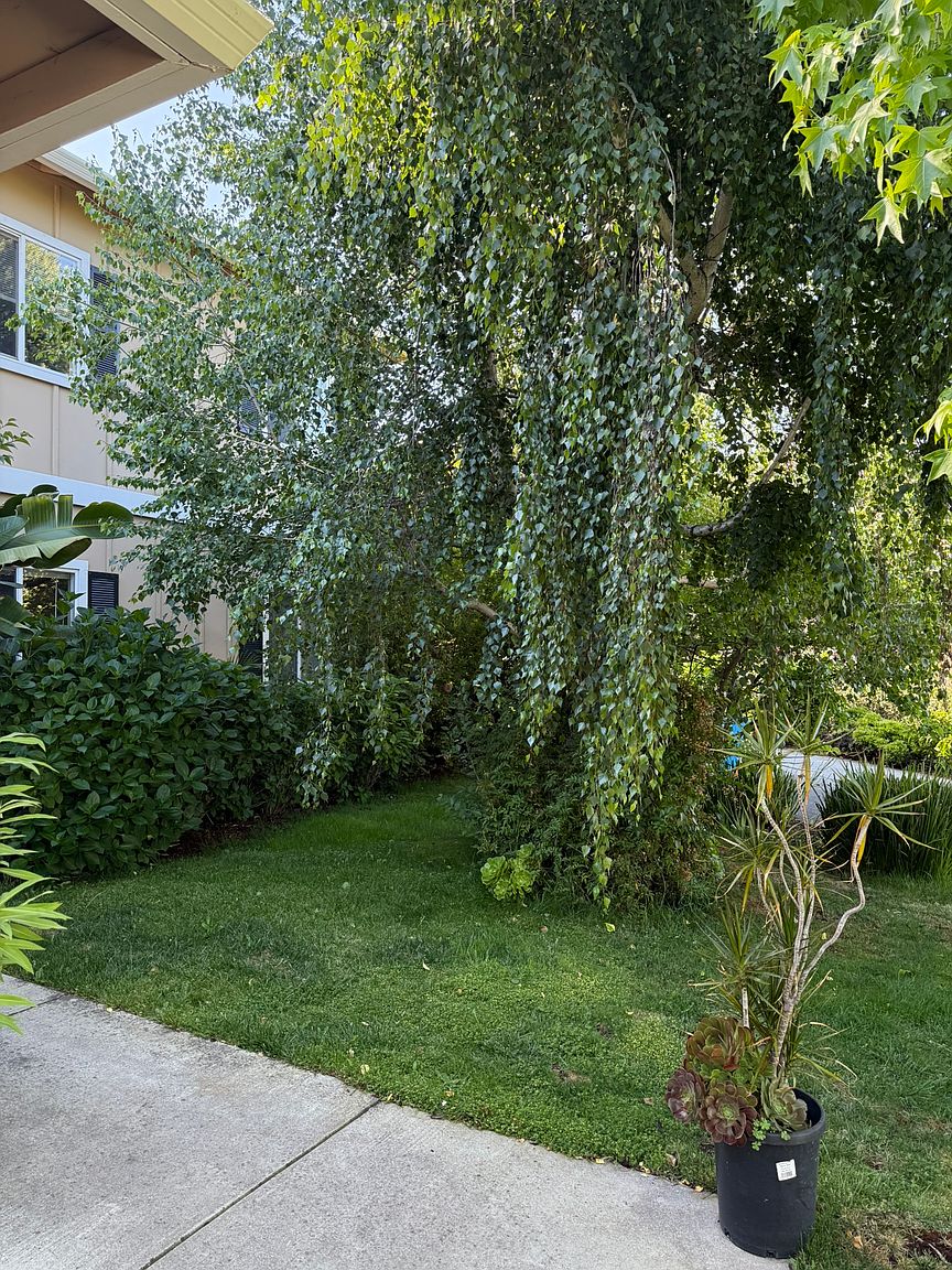 767 Carole Ct photo 4