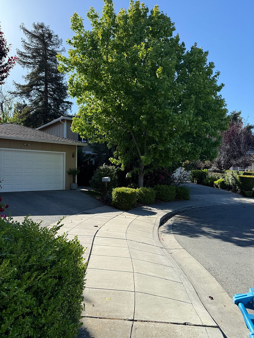 767 Carole Ct photo 3