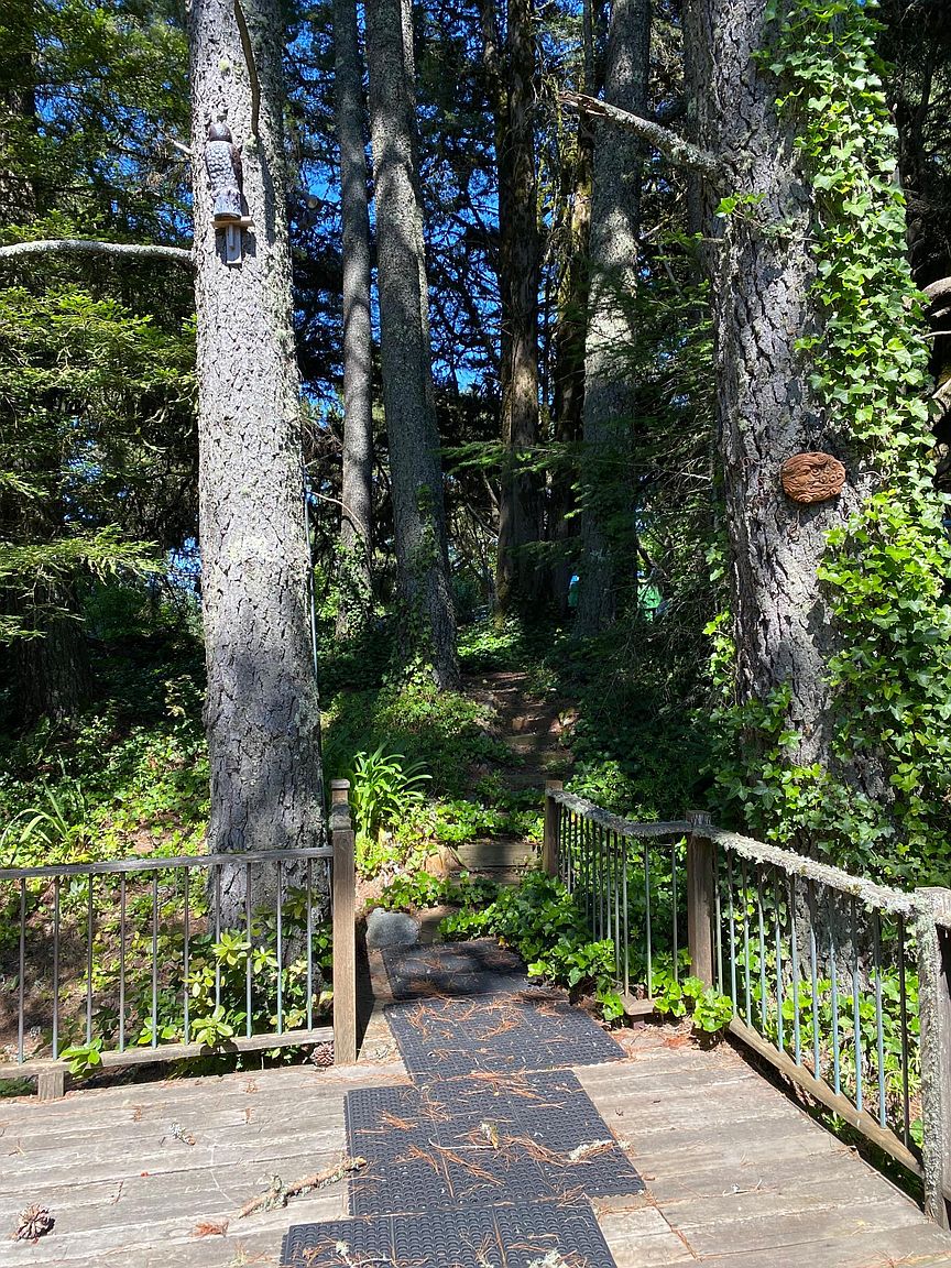 12360 Skyline Blvd photo 3