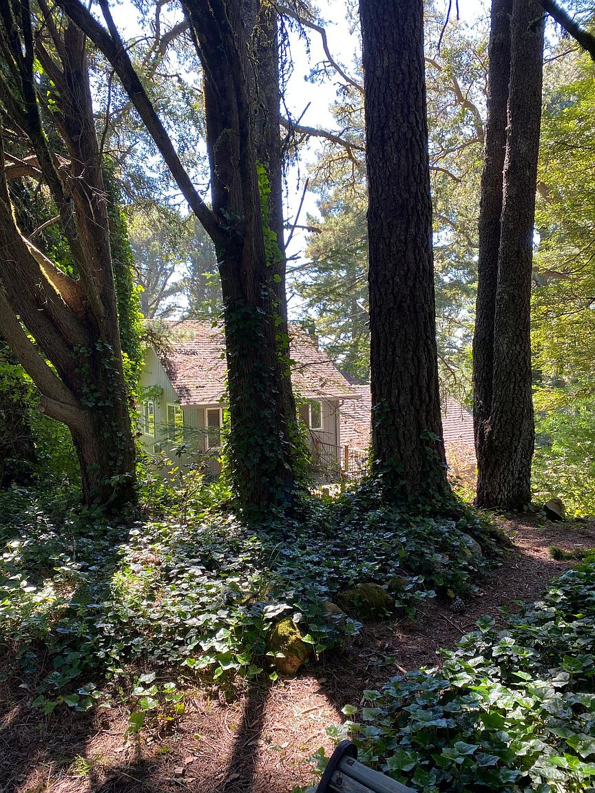 12360 Skyline Blvd photo 2