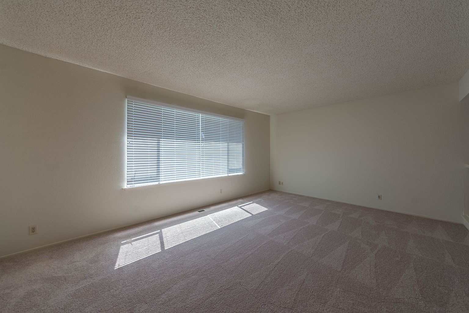 Wonderful 3 Bed 2 Bath Single Family Home Located In Redwood City photo 3
