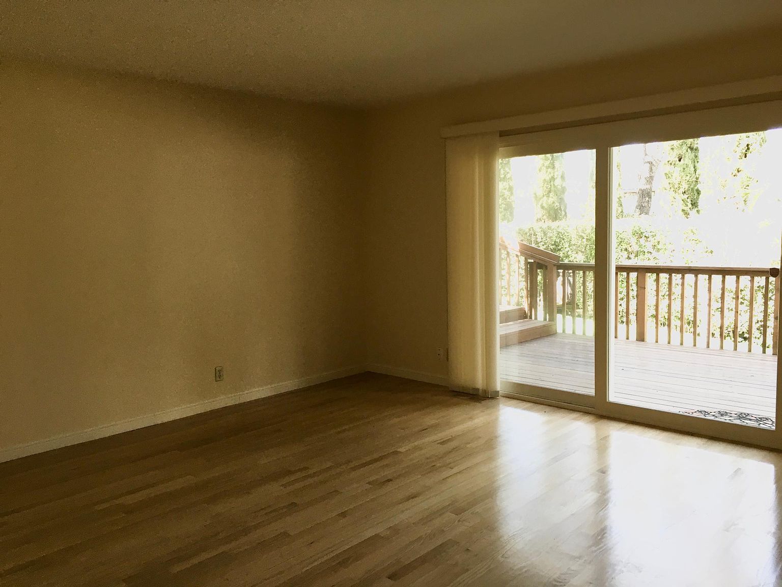 1020 Deanna Dr photo 2