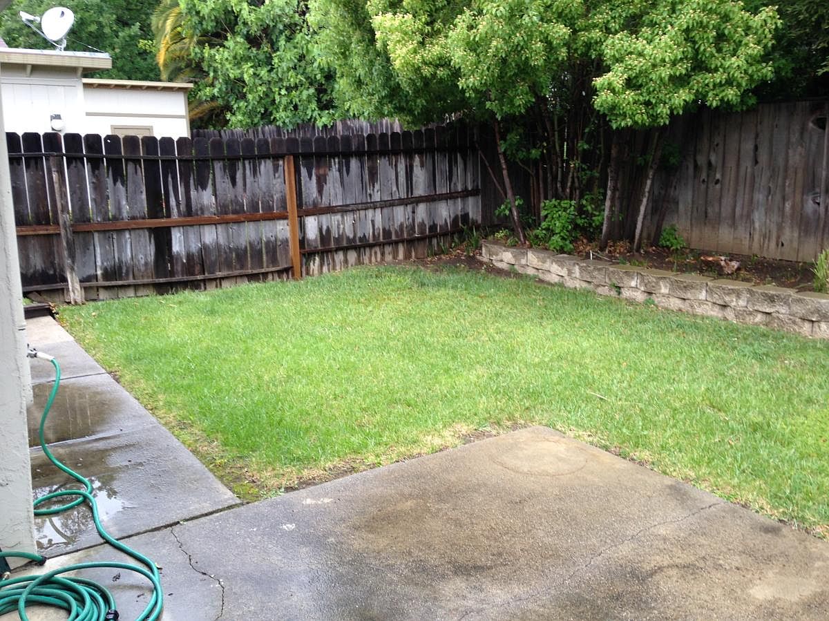 558 Marigold Dr photo 4
