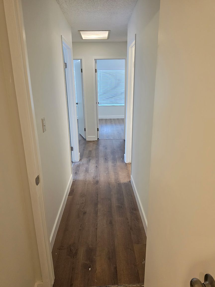 558 Marigold Dr photo 5