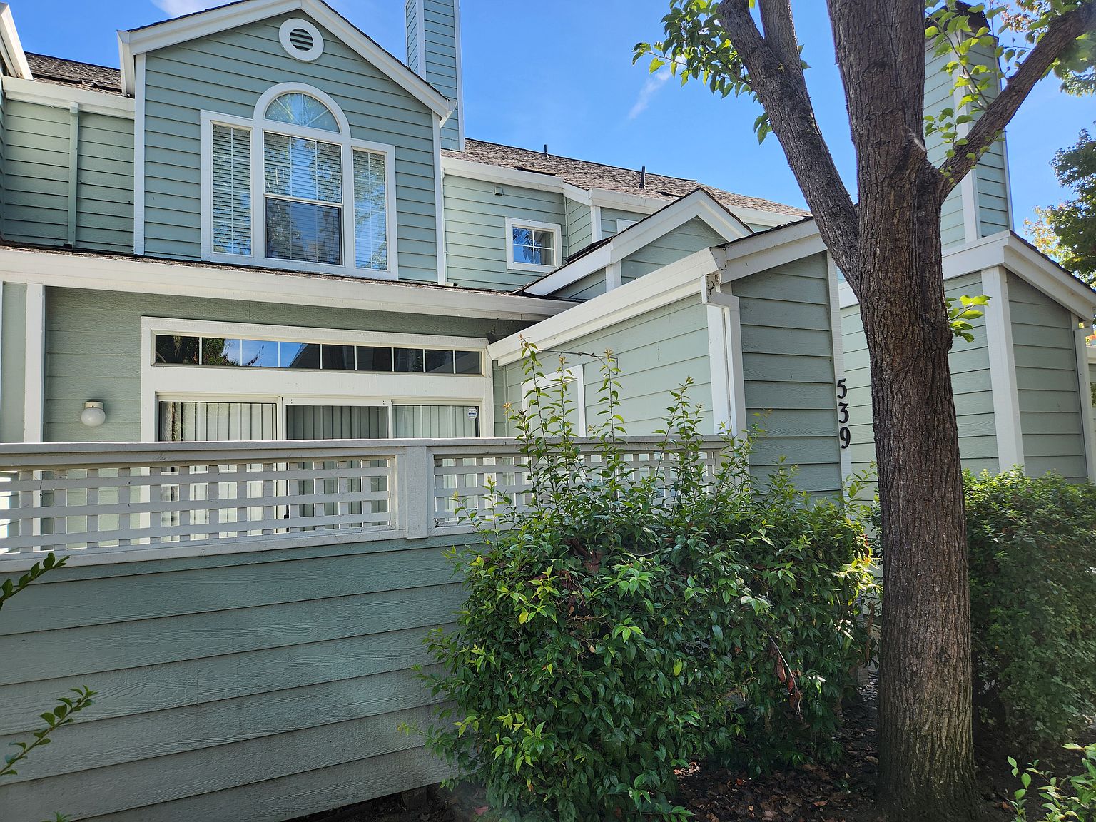 539 Torrey Pine Ln photo 3