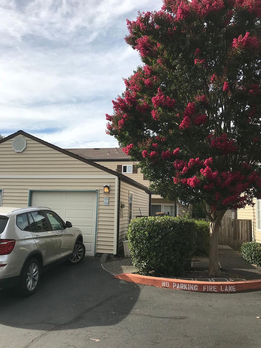 Houses on Yardley St · Santa Rosa