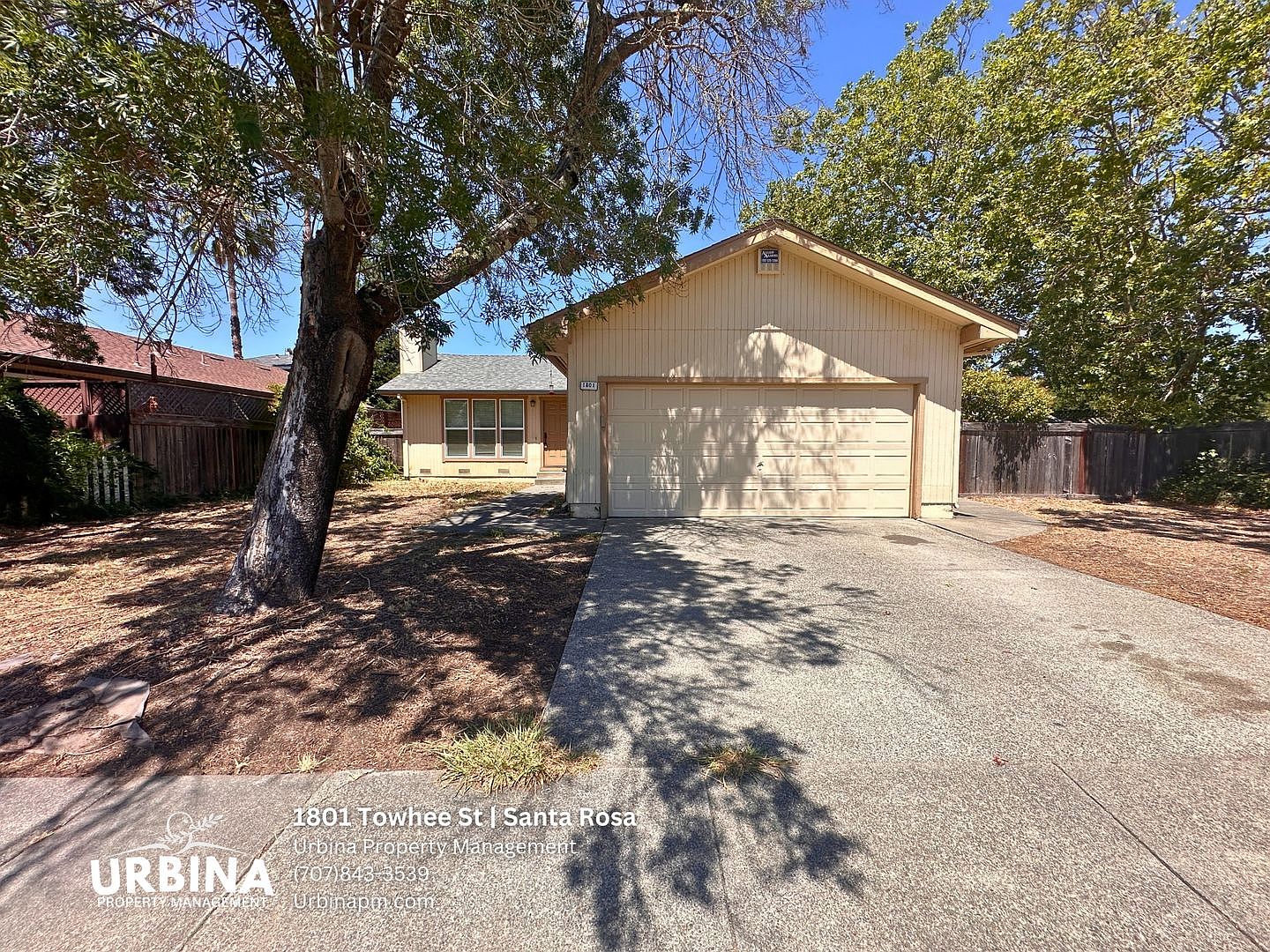 Inviting 3 Bedroom 2 Bathroom Home In Desirable Coffey Park Location photo 4