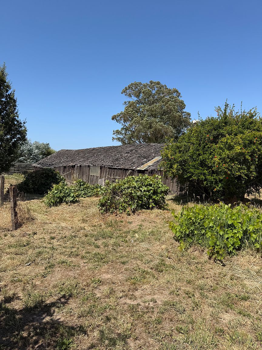 1975 Cooper Rd photo 5