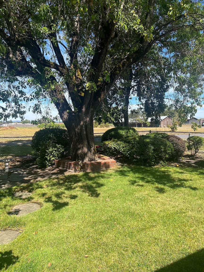 3111 Stony Point Rd photo 3