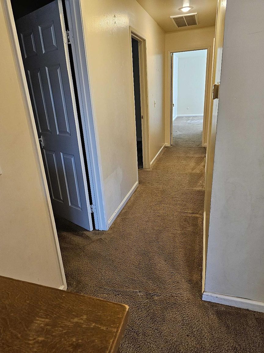 247 Fig Ct photo 5