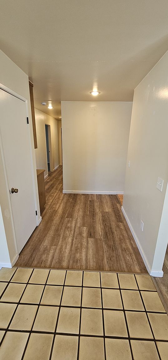 247 Fig Ct photo 3