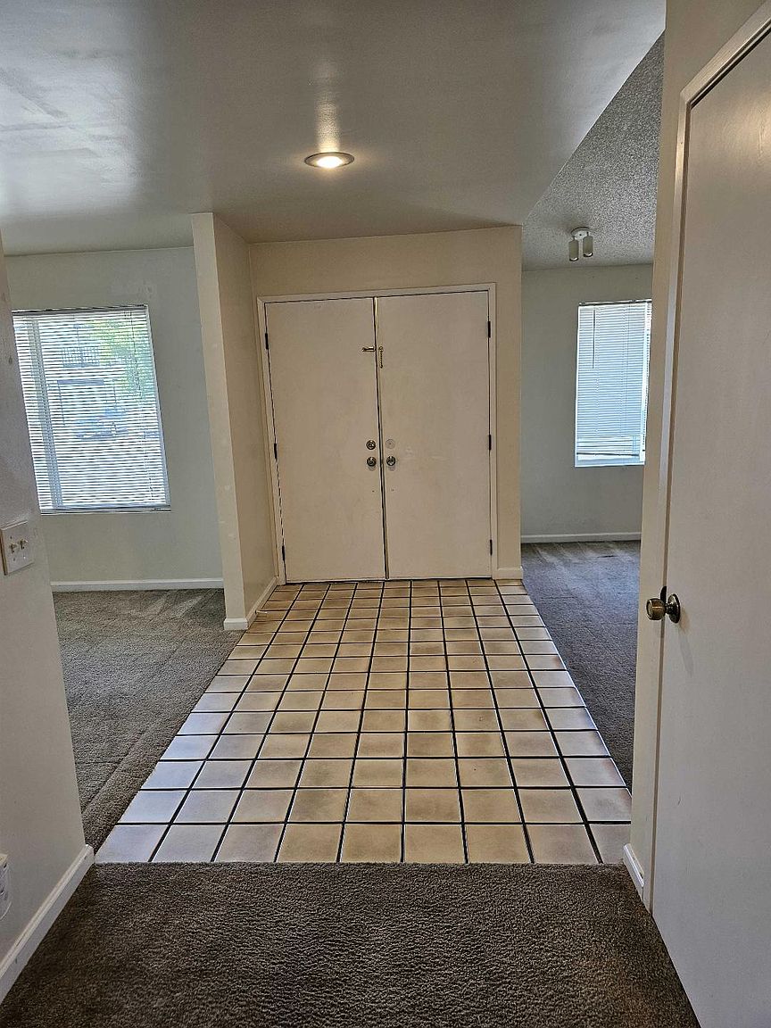 247 Fig Ct photo 2