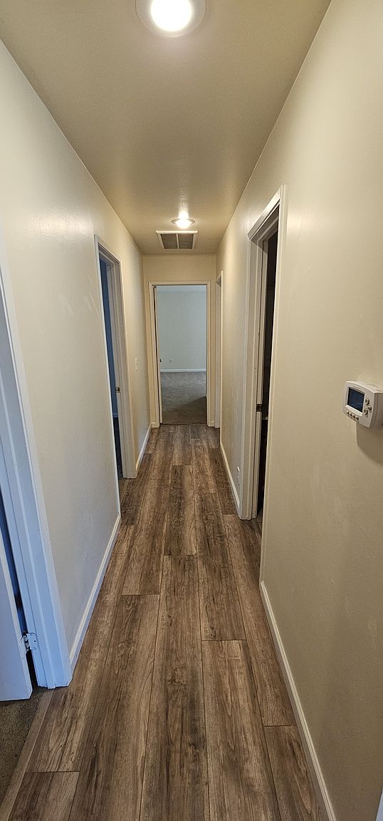 247 Fig Ct photo 4