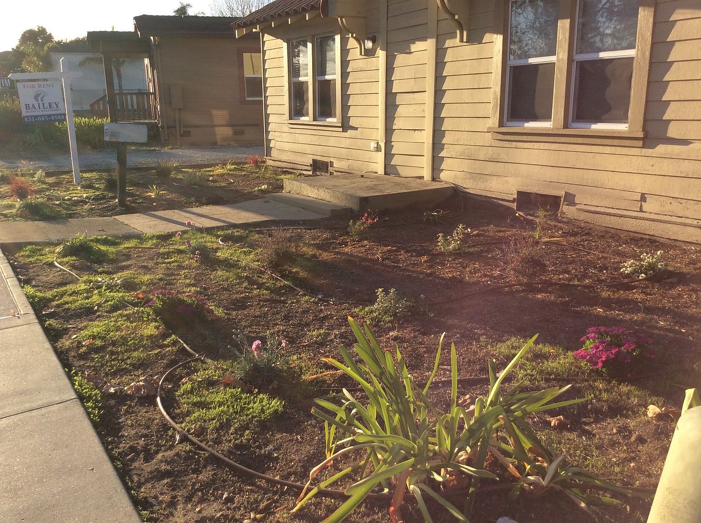 3BR/2BA Single Family House on Mission St · Santa Cruz