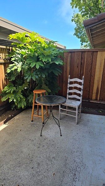 105 Torrey Pine Ter photo 5
