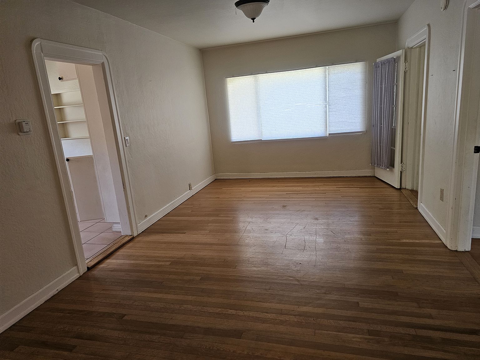 629 Palm Ave photo 3