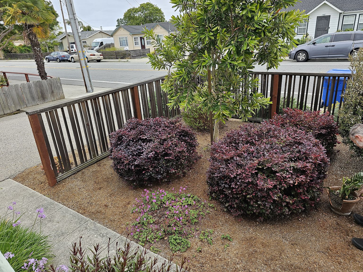 1970 17th Ave photo 5
