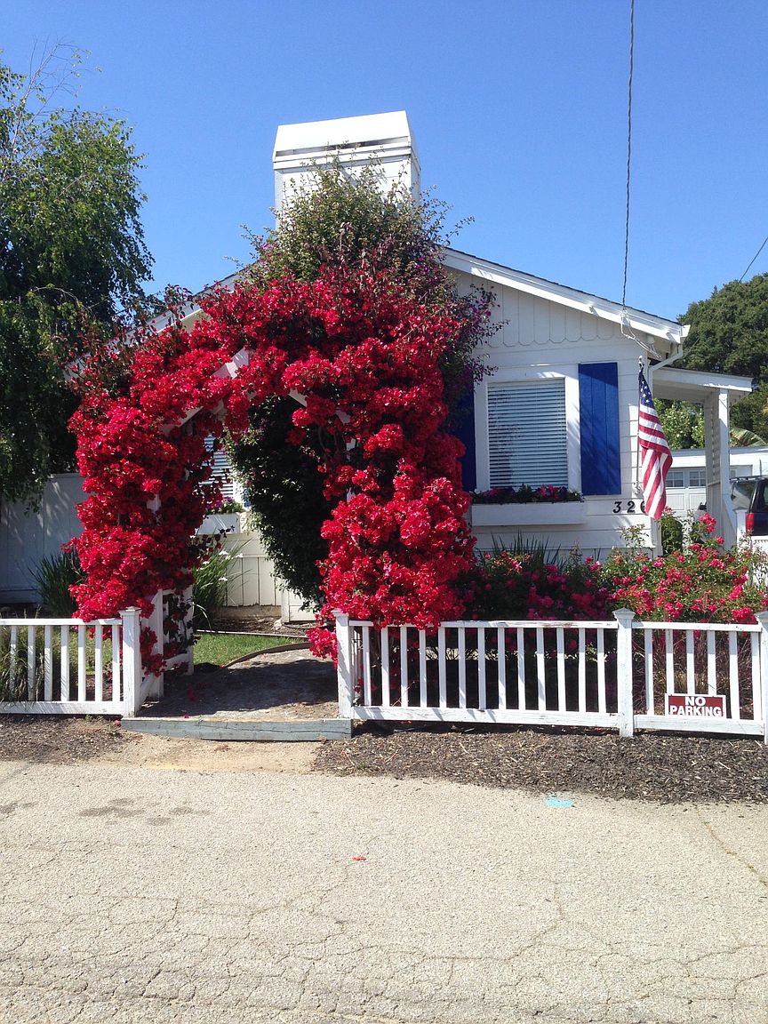 1BR/1BA Single Family House on Hillcrest Dr · Aptos photo 2