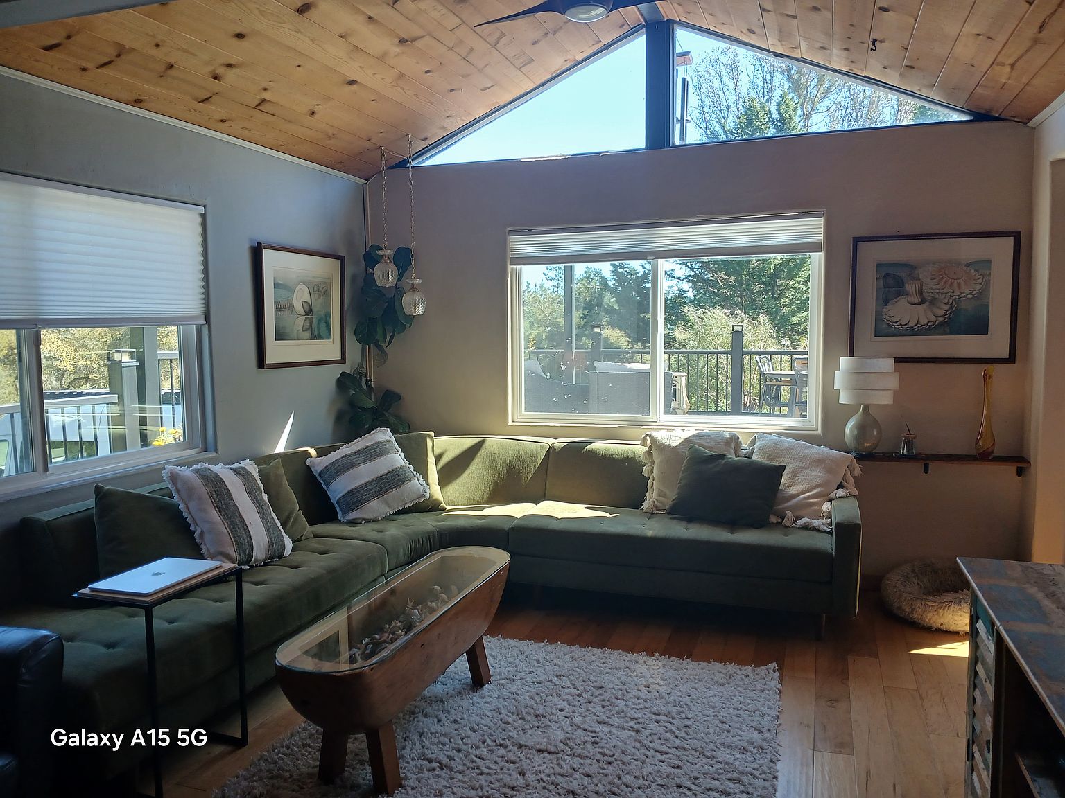 3545 La Madrona Ct photo 2