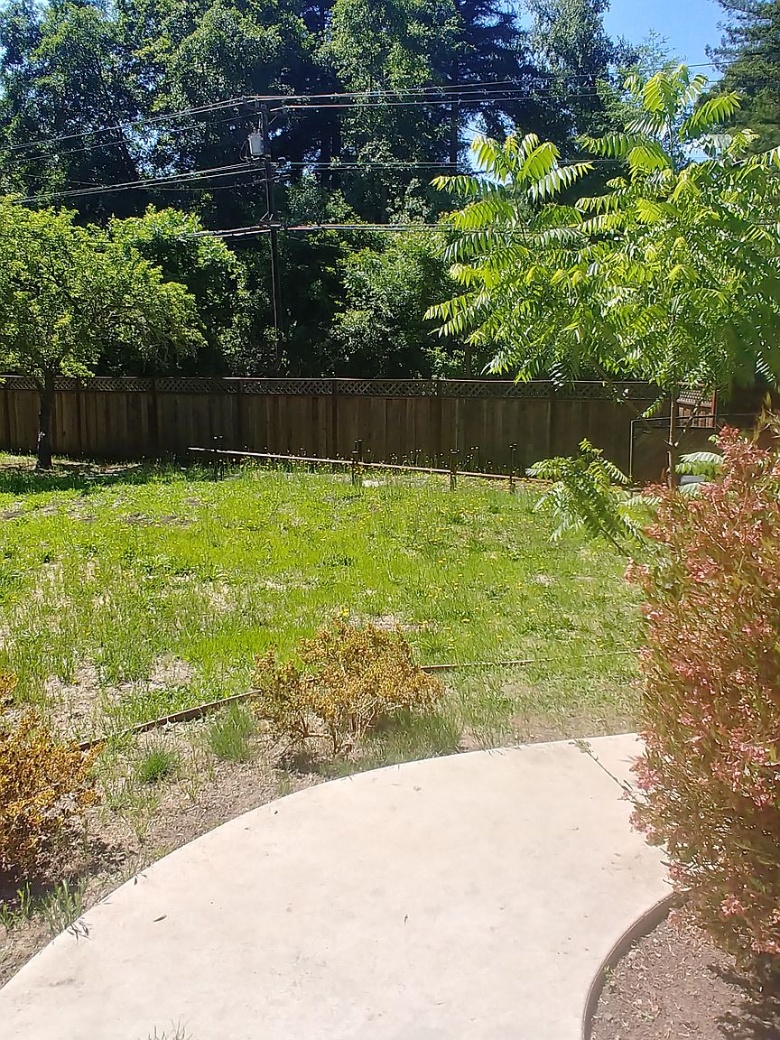 5373 Branciforte Dr photo 5