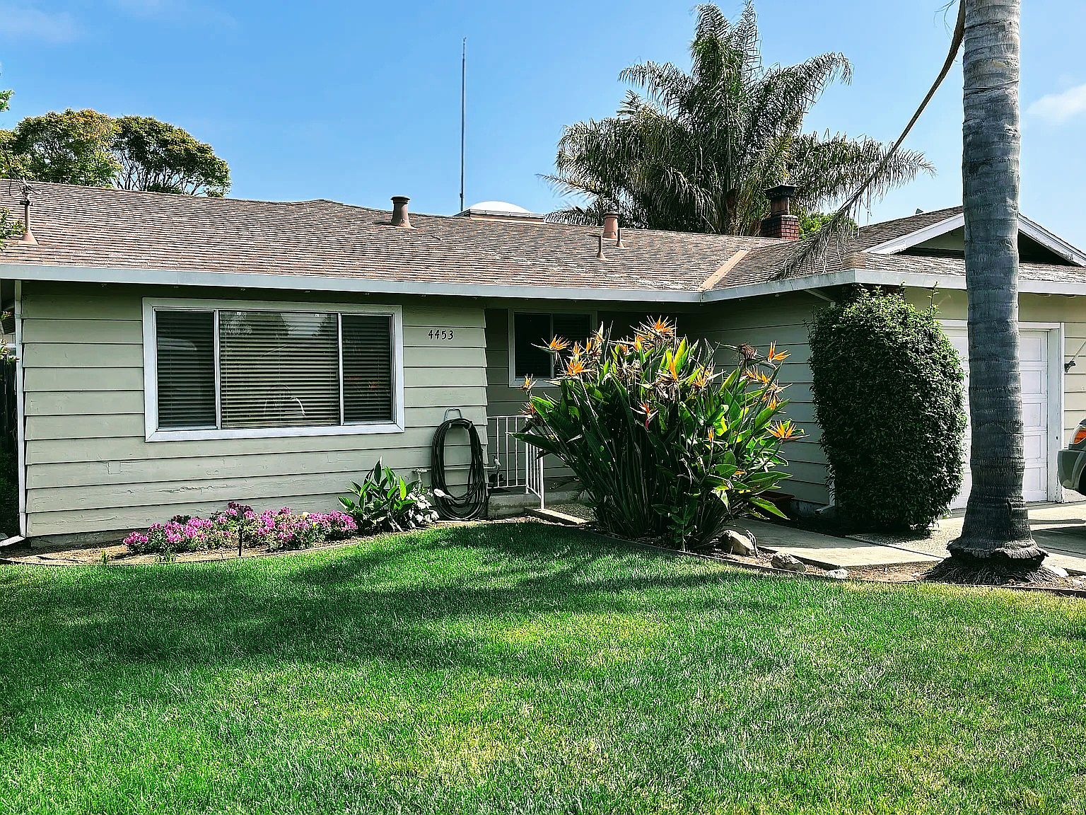 4453 Ranchero Dr photo 2