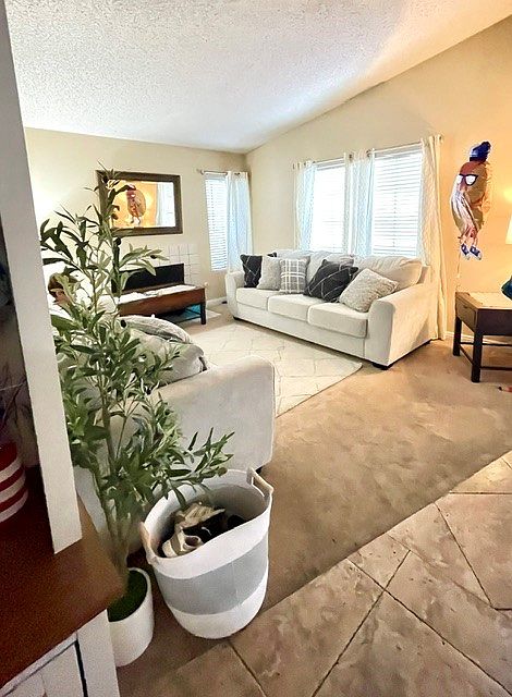 3437 Willow Tree Ct photo 2