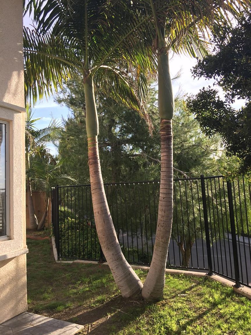 208 Inez Way photo 2