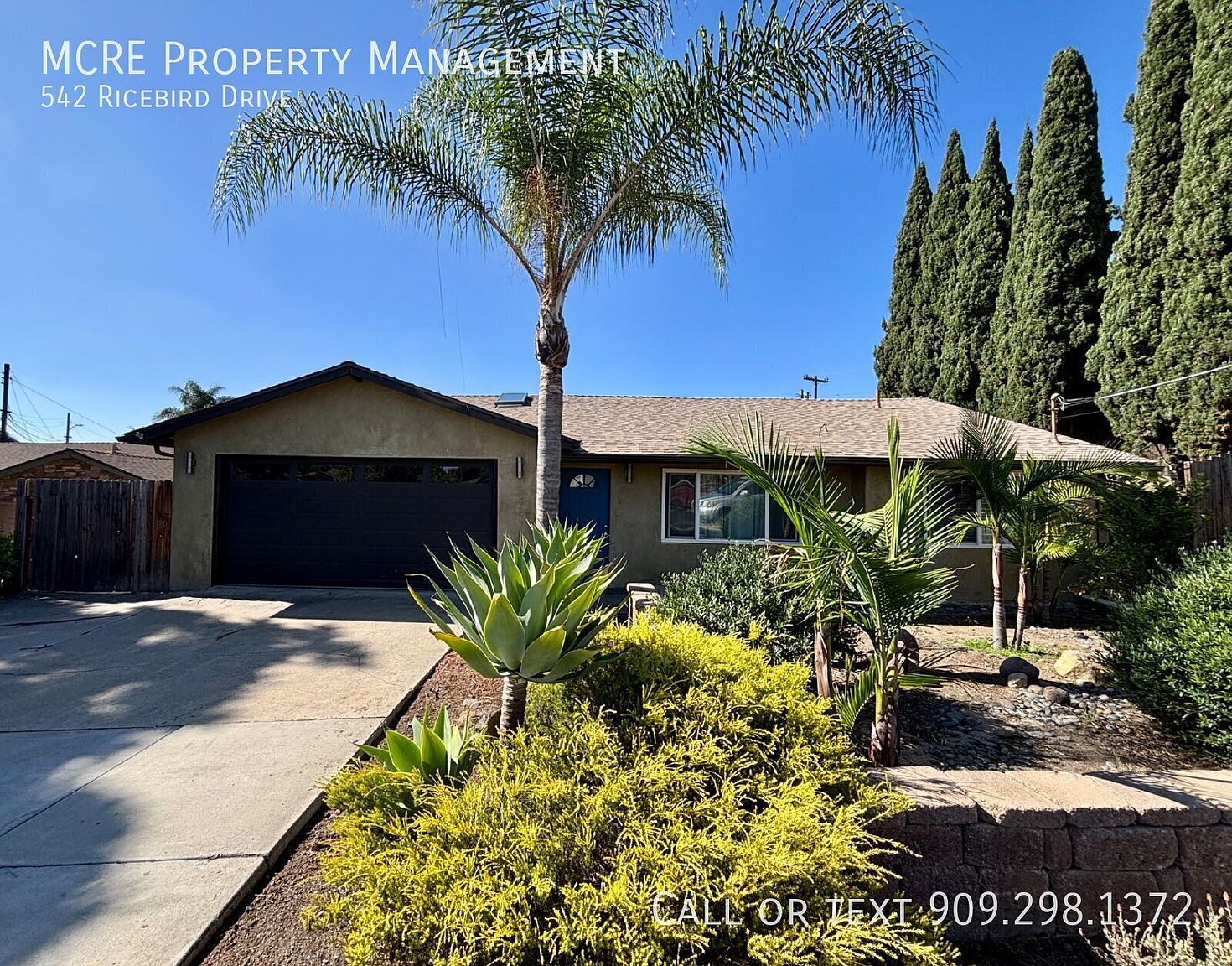542 Ricebird Dr