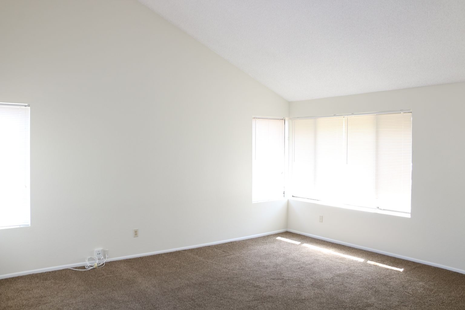 1436 Darwin Dr photo 3