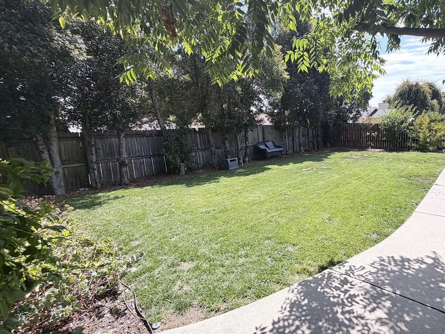 1111 Olive Ave photo 4