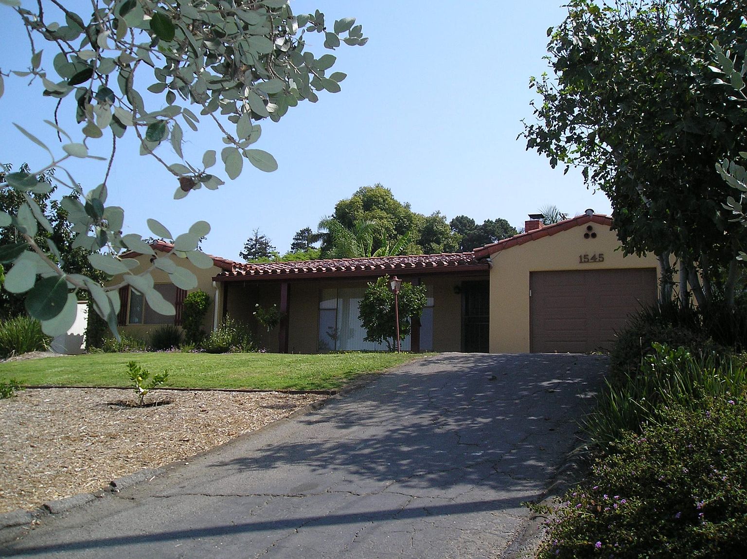 1545 Sunrise Dr photo 3