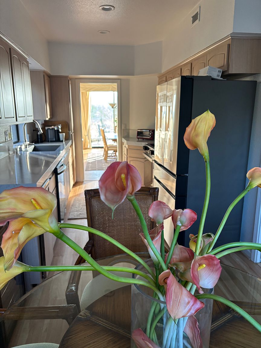4803 Desert Vista Dr photo 5
