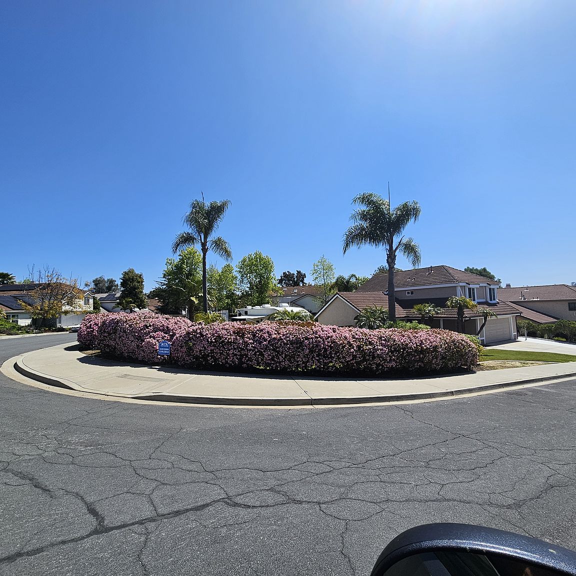 7252 Mimosa Dr photo 2