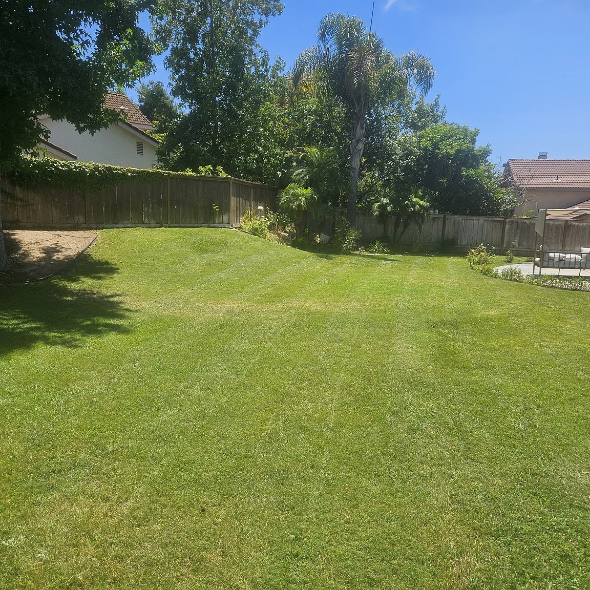 7252 Mimosa Dr photo 3