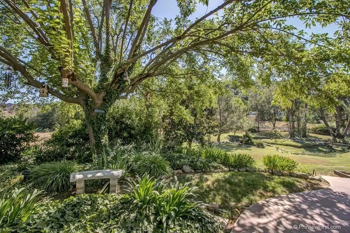3058 Hill Valley Dr photo 3