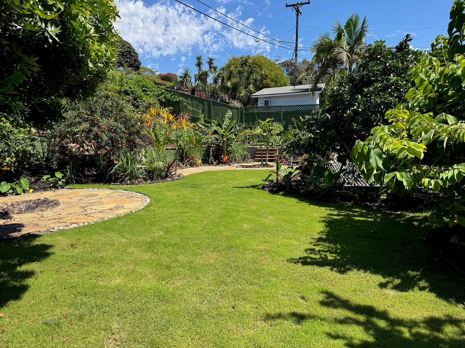 918 Emma Dr photo 5