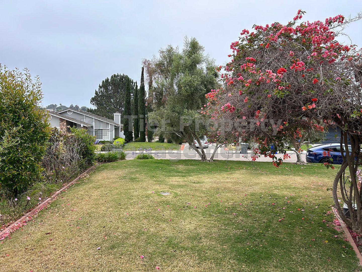 1322 Calle Christopher photo 3