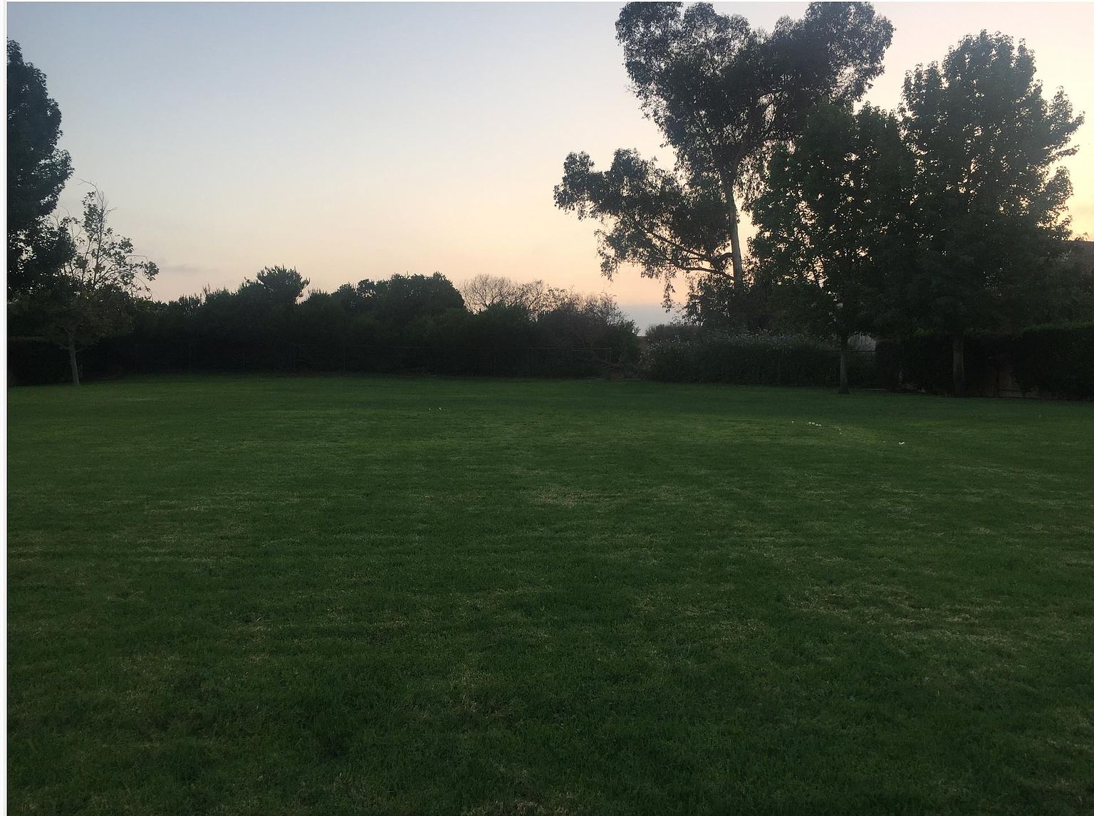 12581 Brickellia St photo 4