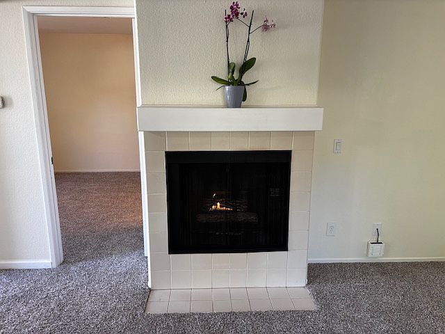 10337 Azuaga St photo 3