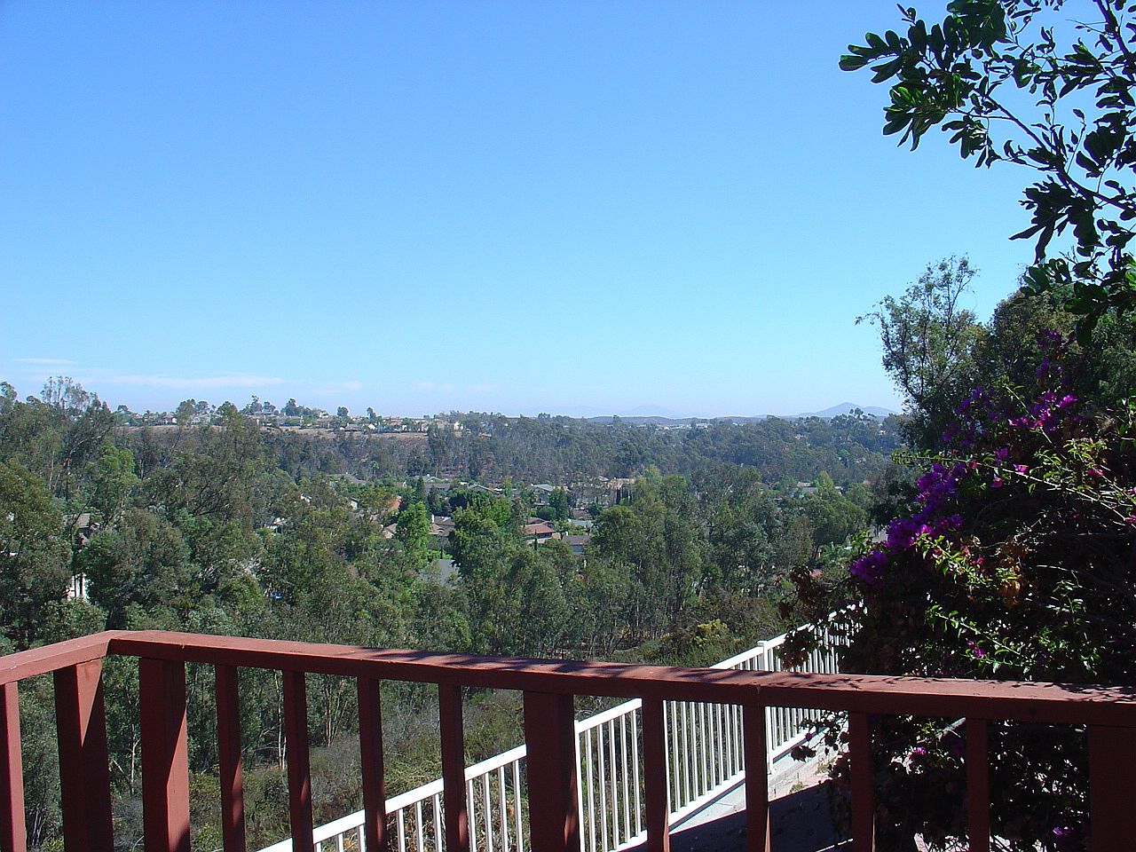 10955 Elderwood Rd photo 2
