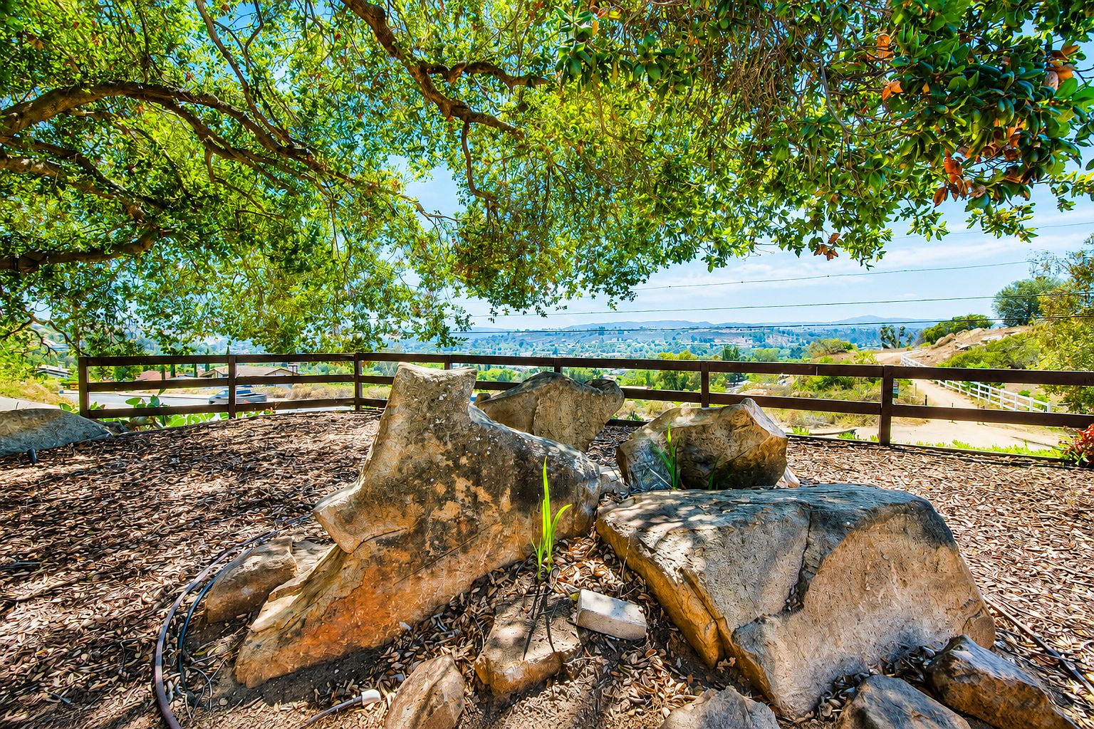 14131 Tierra Bonita Rd photo 4