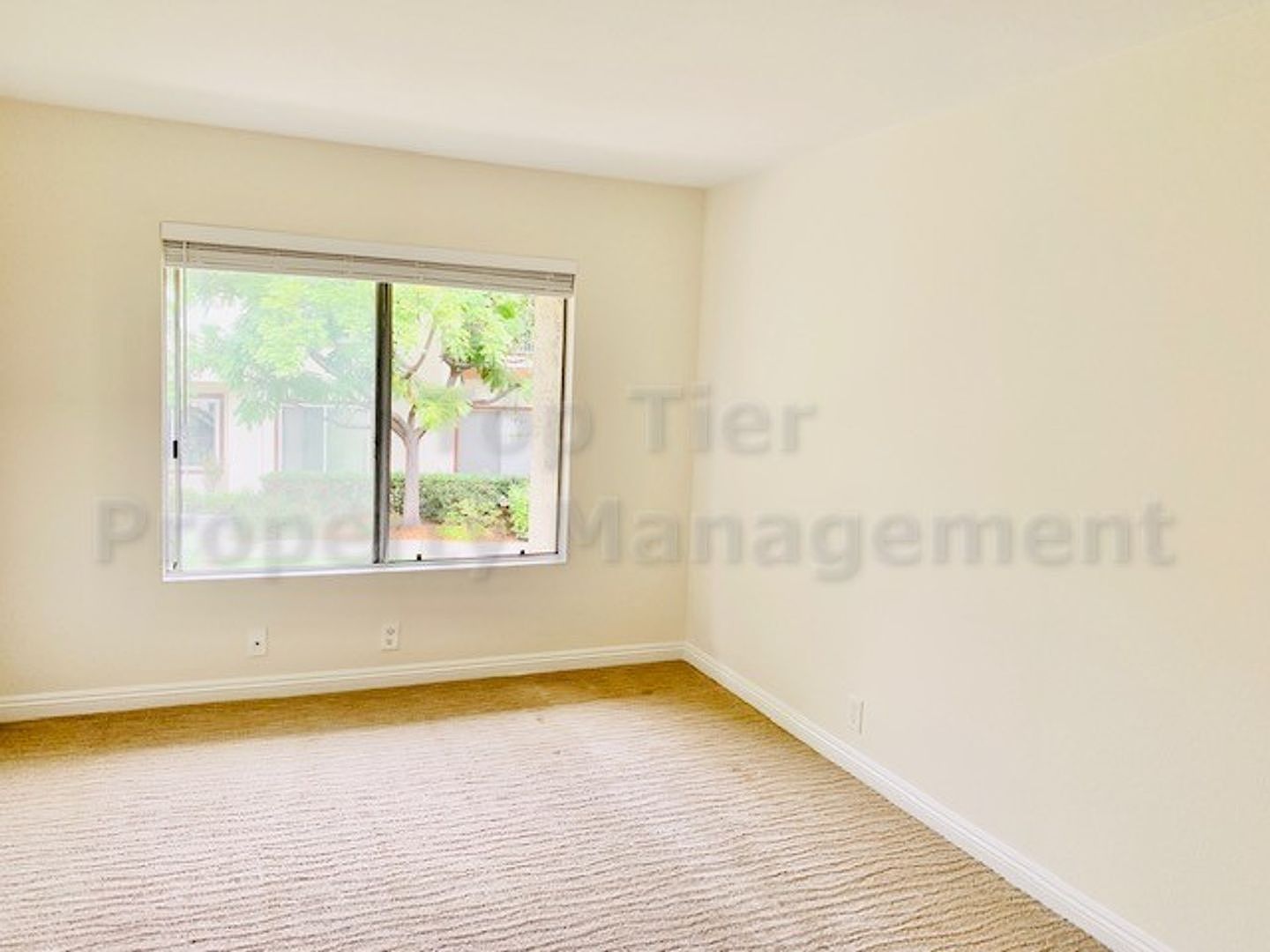 4015 Porte La Paz photo 4