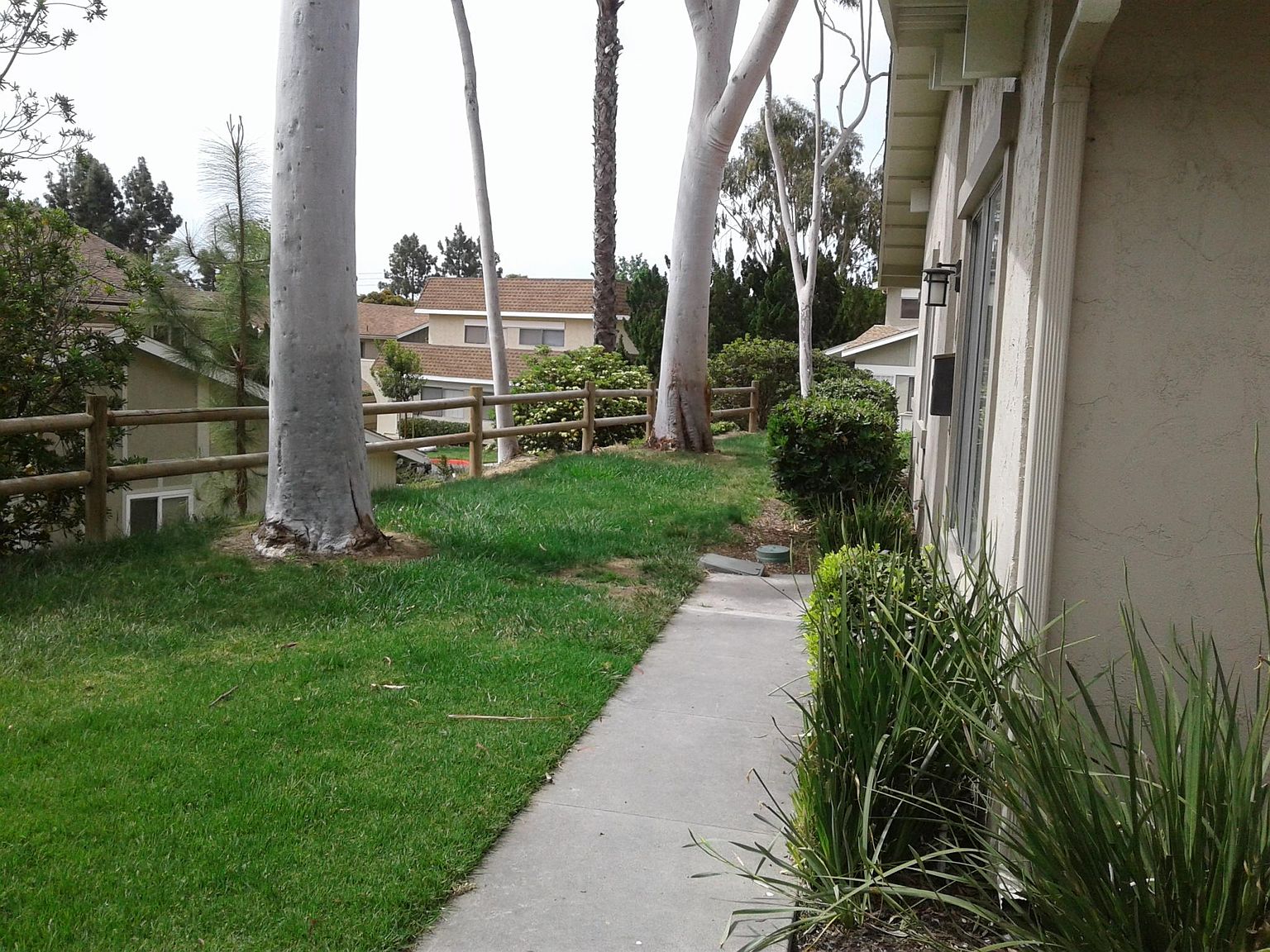 4156 Camino Ticino photo 3