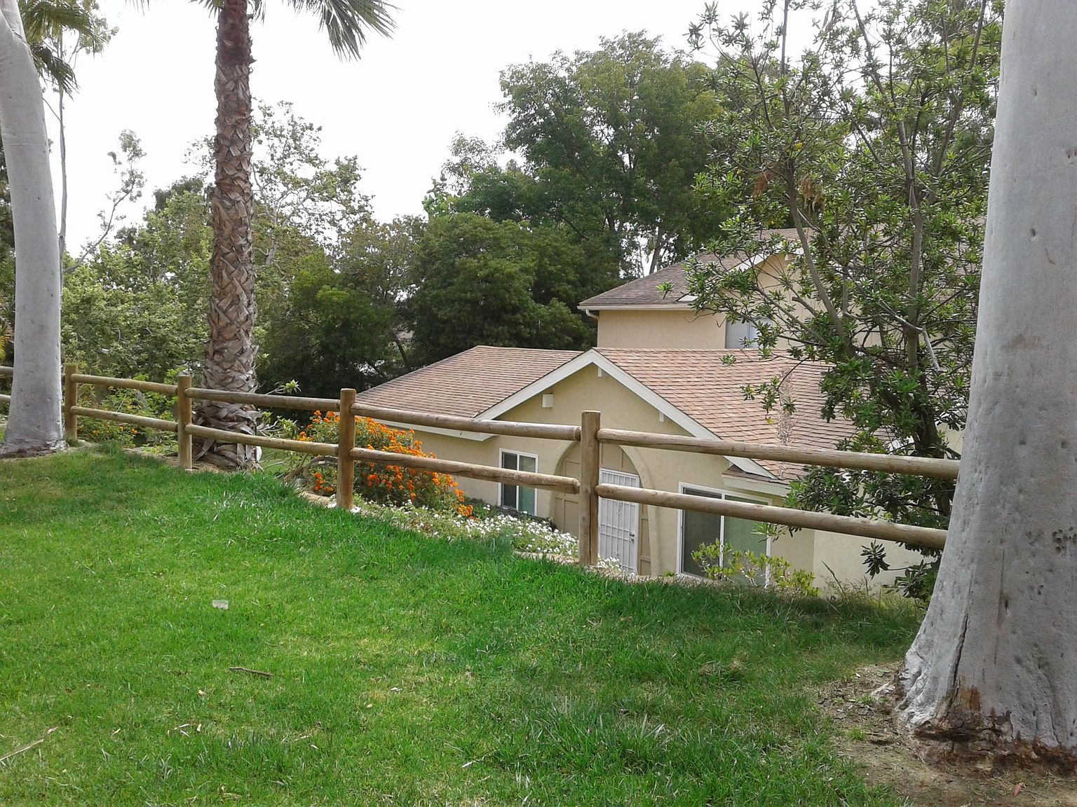4156 Camino Ticino photo 5