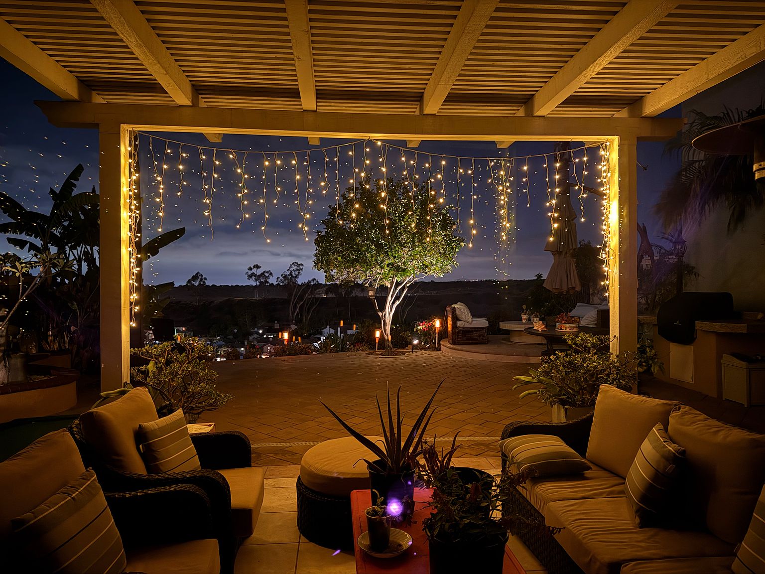 11070 Corte Playa Merida photo 5