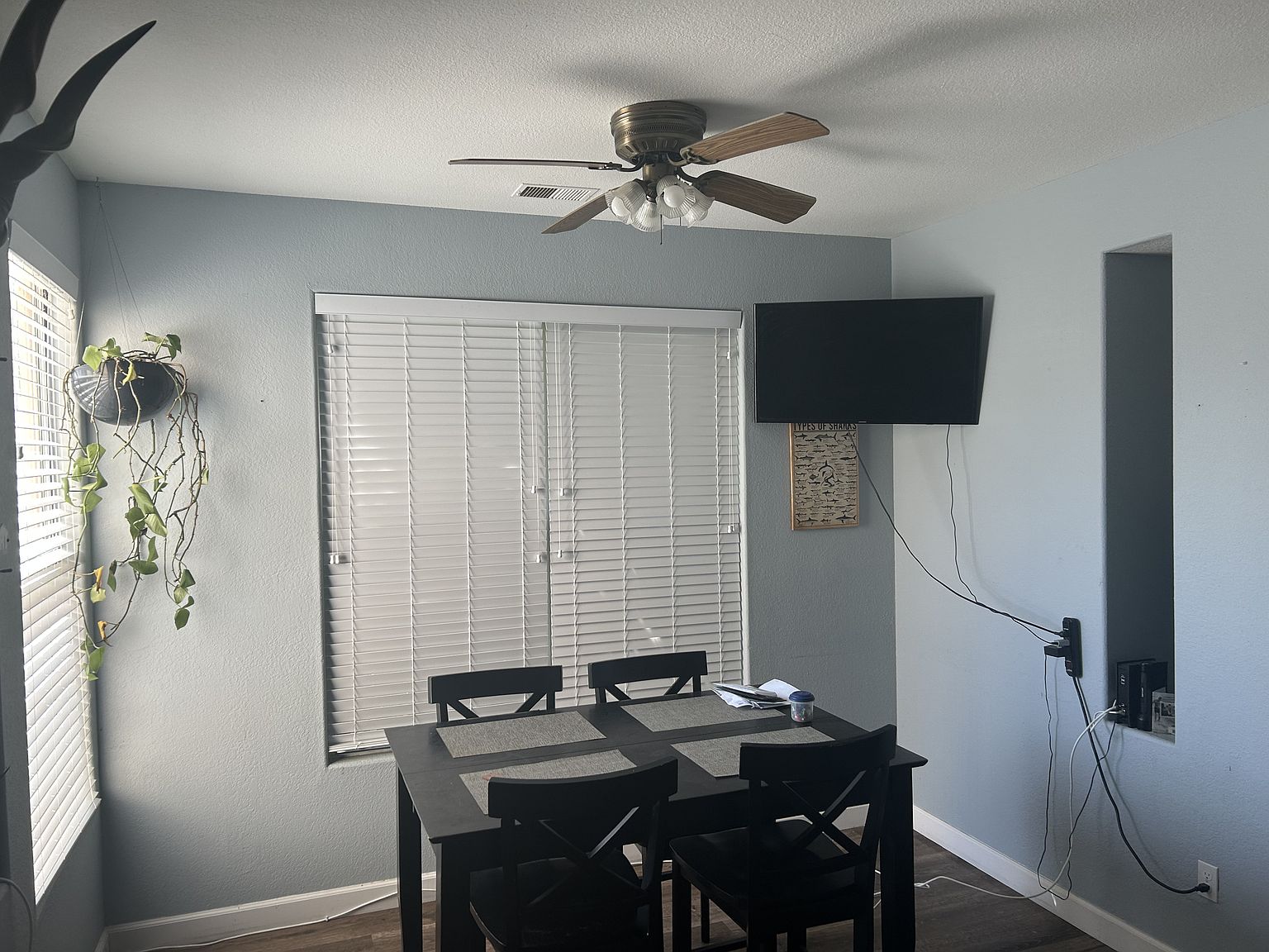 1552 Chalcedony St photo 3