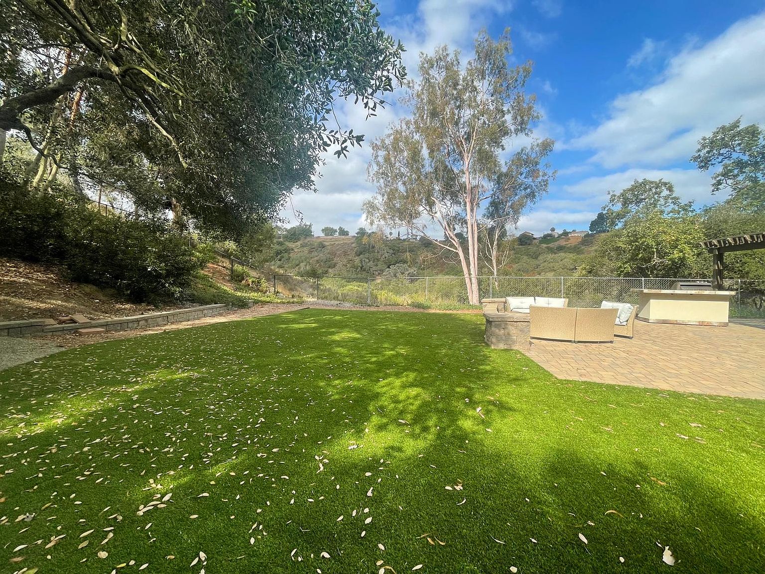 4711 Mount Ashmun Dr photo 3