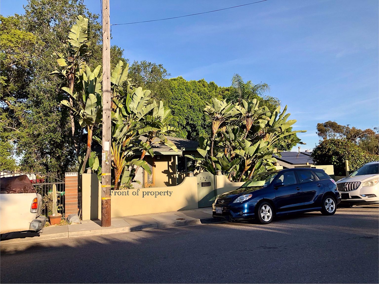 2567 Tuberose St photo 3