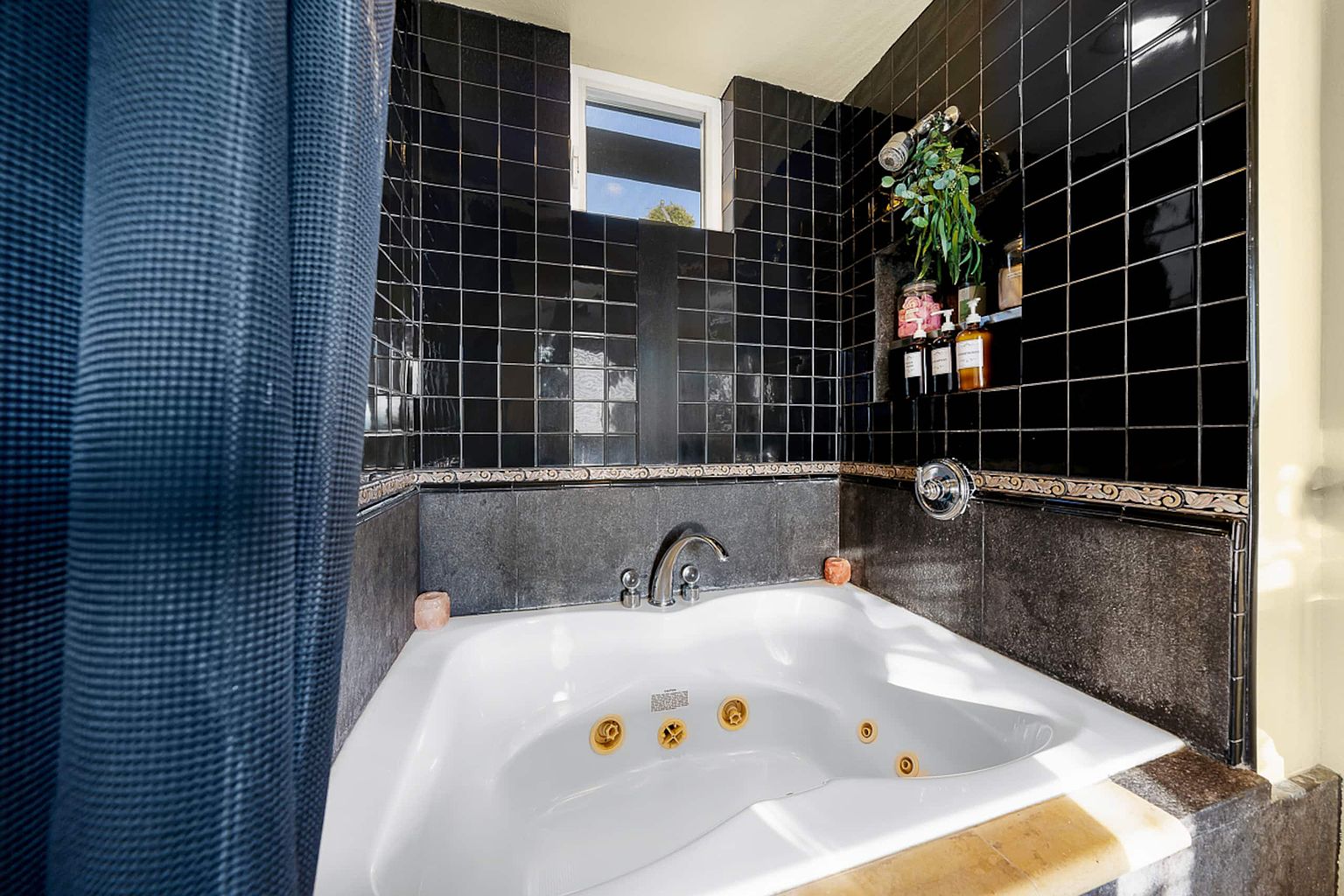 4350 Alta Mira Dr photo 2
