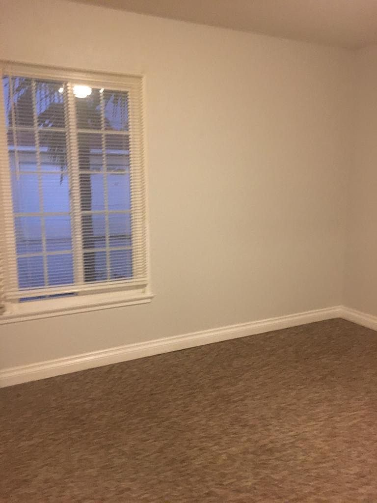 221 Cedar Ave photo 5